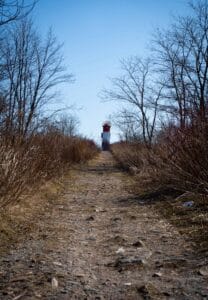 Narrow rocky path leads to red and white lighthouse, flanked by bare trees and dry bushes, clear sky.