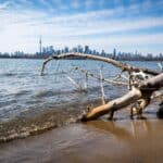 Sandy shoreline with driftwood, distant city skyline, prominent tower, and partly cloudy sky.