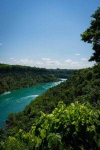 Wide turquoise river flows through lush green forest under clear blue sky.
