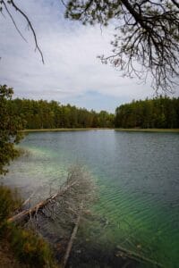 Lake with clear water, surrounded by forest, fallen tree partially submerged, cloudy sky.