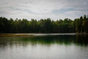 Calm lake with a reflective surface bordered by tall trees under a cloudy sky.