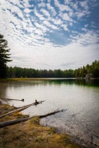A calm lake reflects the sky, surrounded by a forest with logs on the sandy shore.