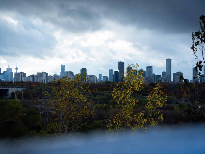 In Love With Chester Hill Lookout