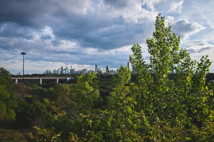A photo of Chester Hill Lookout on a cloudy day with the CN Tower in the background and trees in the foreground