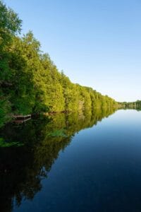 Calm lake reflecting green shoreline trees and a small wooden dock under clear sky.