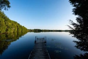 Wooden dock over a calm lake with water lilies, surrounded by green trees and clear sky.