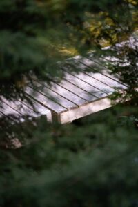 Wooden dock partially visible through green leaves with water reflecting sunlight nearby