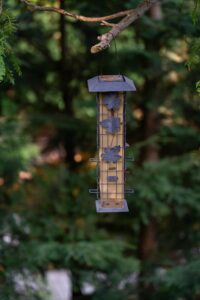 Metal bird feeder with leaf decorations hanging from a tree branch in a green forest.
