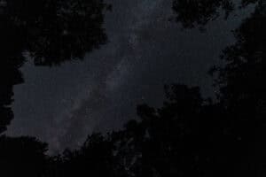 Night sky with stars and the Milky Way galaxy visible, framed by tree silhouettes.