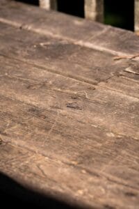 Wooden surface with visible grain texture and a small purple dragonfly resting near the center.